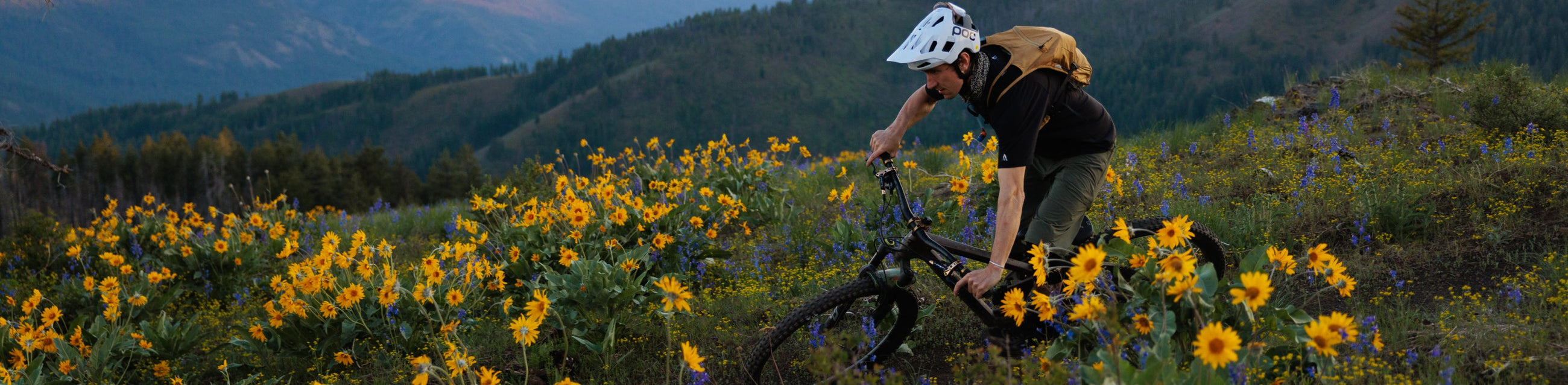 Bike Fenders