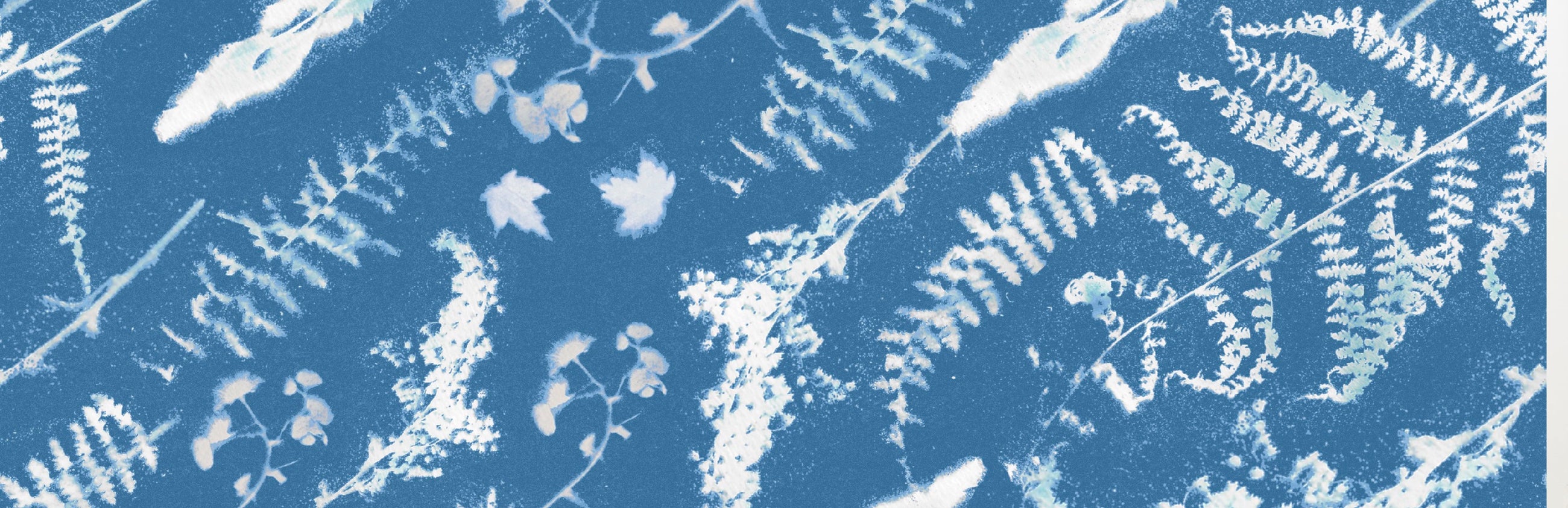 Protect Our Winters x Skida