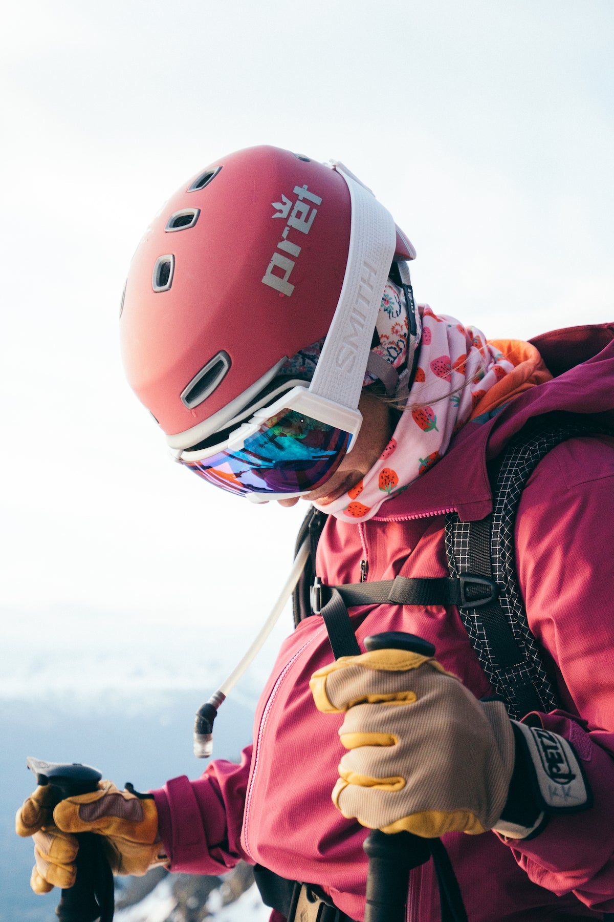 Strawberry Fields | Alpine Fleece-Lined Neckwarmer