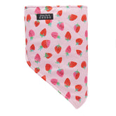 bandita Skida Polartec Winter Lined neck warmer strawberry