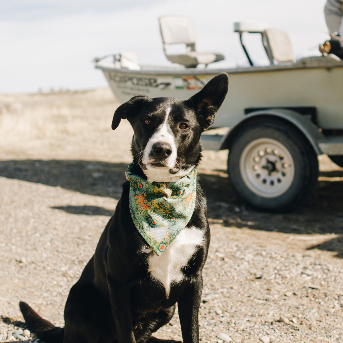 Battenkill | Dog Bandana