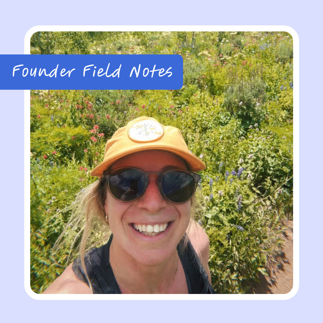 Mid-Summer Letter from Corinne