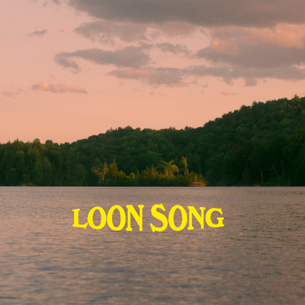 A Song for Summertime: Loon Song