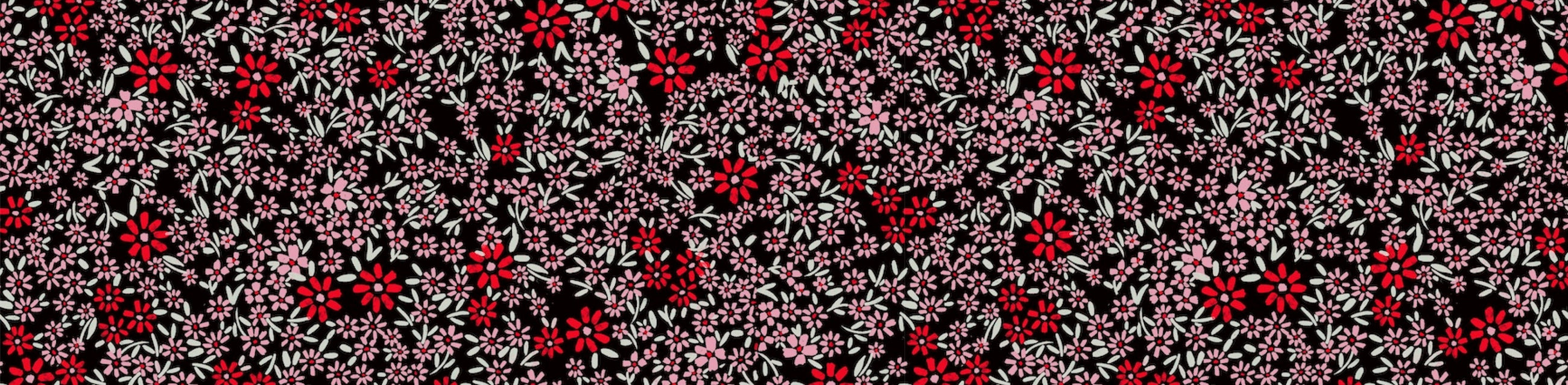Anemone