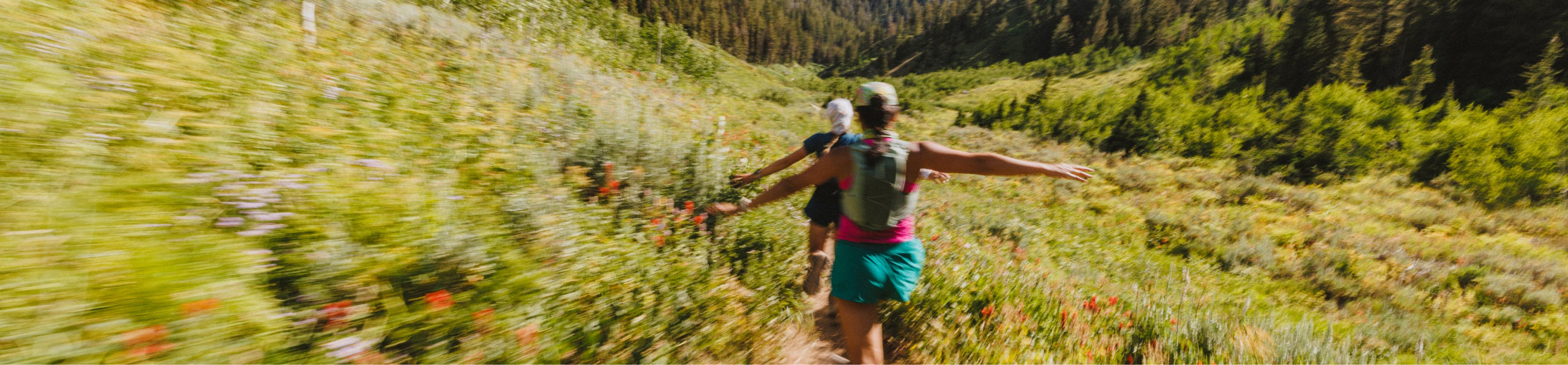 The Odyssey Collection