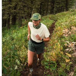 Evergreen | Sun Tour Lightweight Neck Gaiter