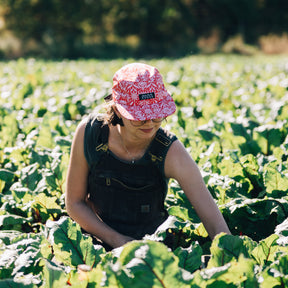 Linnea | Original Brim Hat