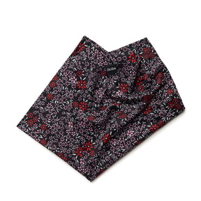 Anemone | Snow Tour Neck Gaiter