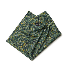Evergreen | Snow Tour Neck Gaiter