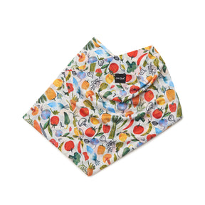 Gather | Sun Tour Lightweight Neck Gaiter